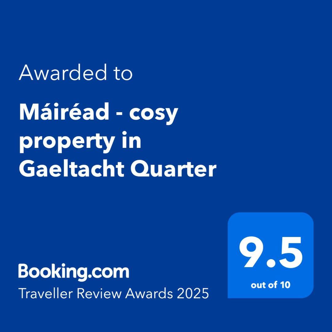 בלפסט Mairead - Cosy Property In Gaeltacht Quarter מראה חיצוני תמונה